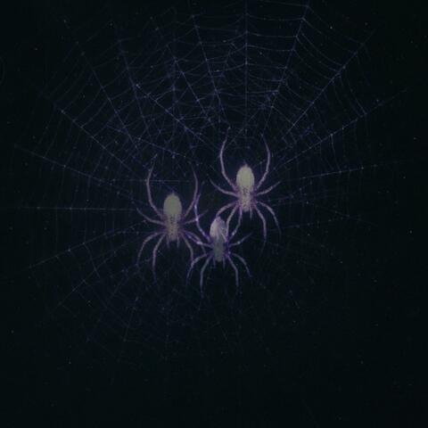 Voices album art