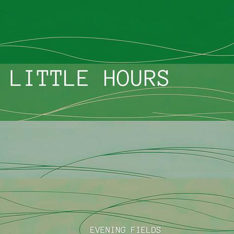 Evening Fields album art