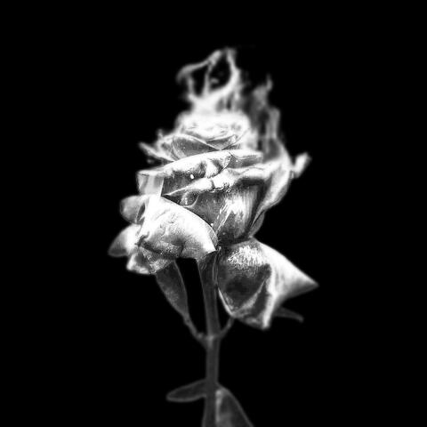 FEELING INSIDE album art