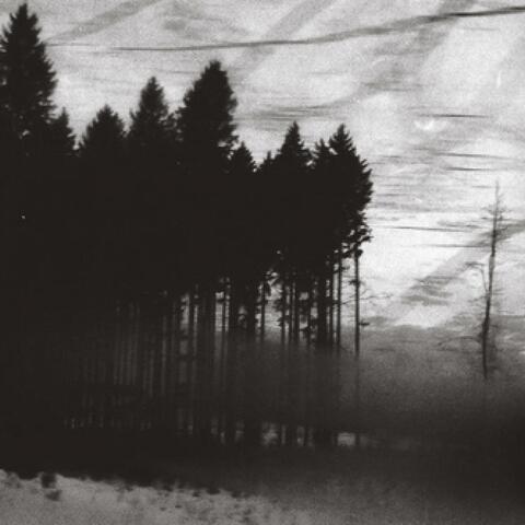 "We Will All Get In The Oncoming Flood" album art