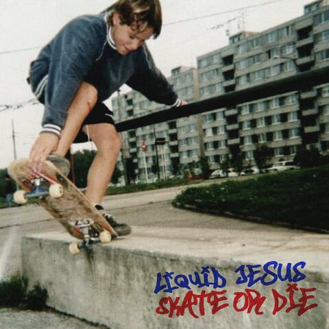Skate Or Die album art