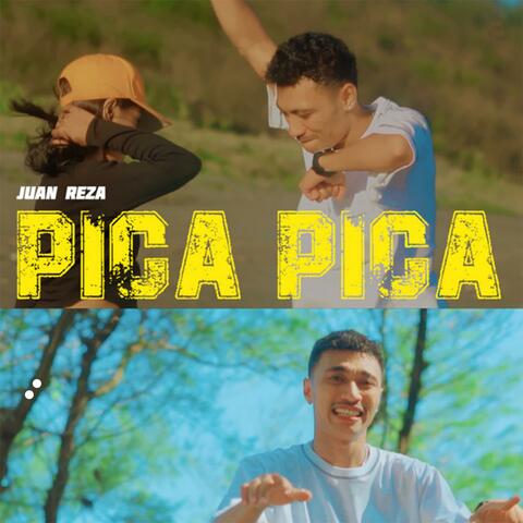 PICA PICA album art