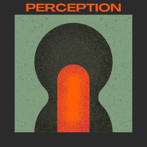 perception album art