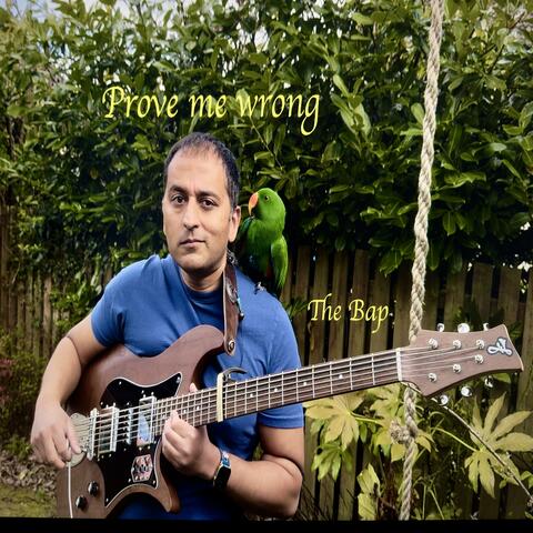 Prove Me Wrong album art