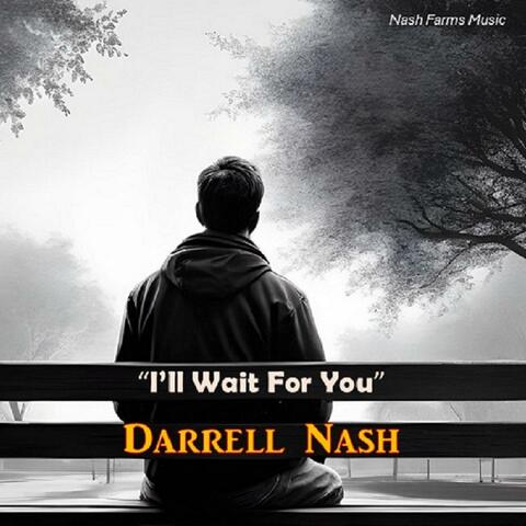 I'll Wait For You album art