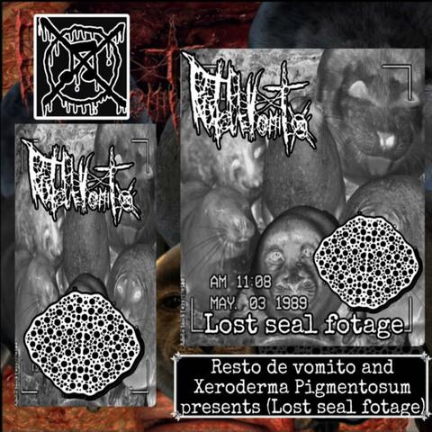 Lost seal footages (split w/ resto de vomito) album art