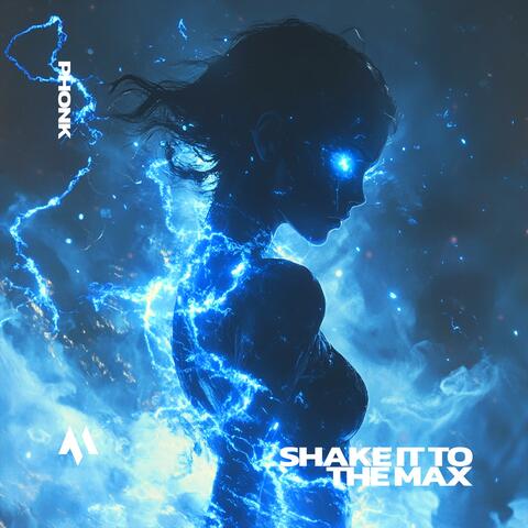 SHAKE IT TO THE MAX (FLY) album art