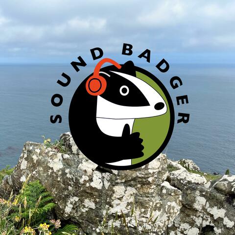 Summer Cornish Cove album art