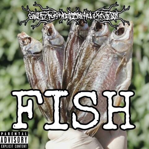 FISH album art