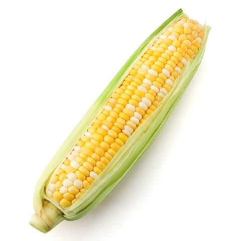 Corn album art