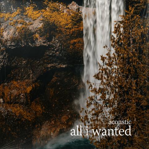 all i wanted album art