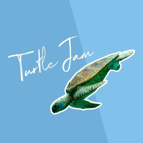 Turtle Jam 6 album art