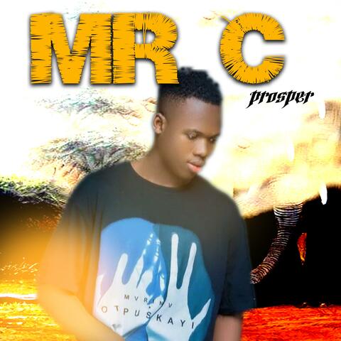 Prosper album art