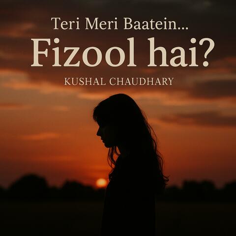 Fizool Hai? album art