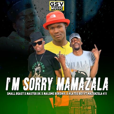 I'm Sorry Mamazala (feat. Malome Boronie, Hlatse Boy SA & Mazenzela 411) [with Master DK] album art