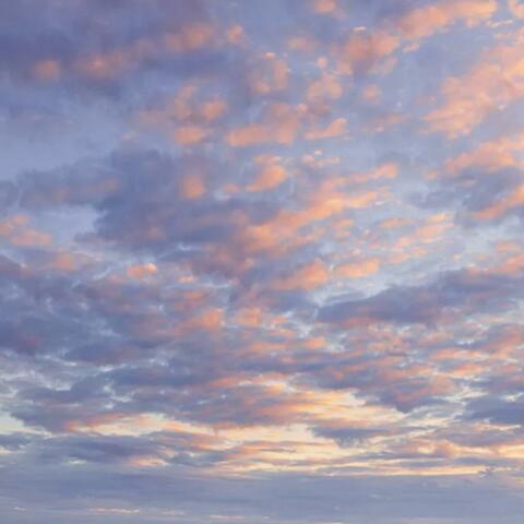 If I Take The Wings Of Dawn album art