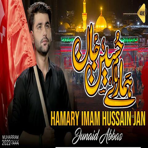 Hamare Imam Hussain album art