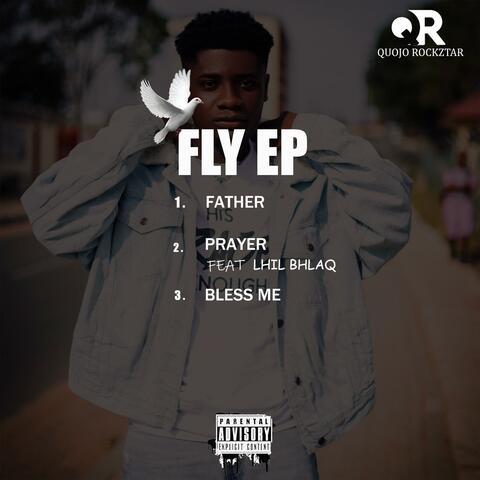 FLY EP album art