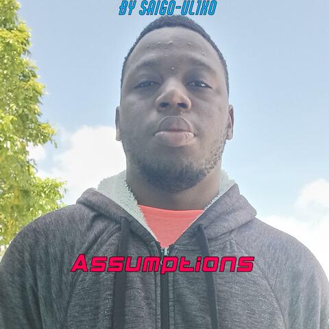 Assumptions album art