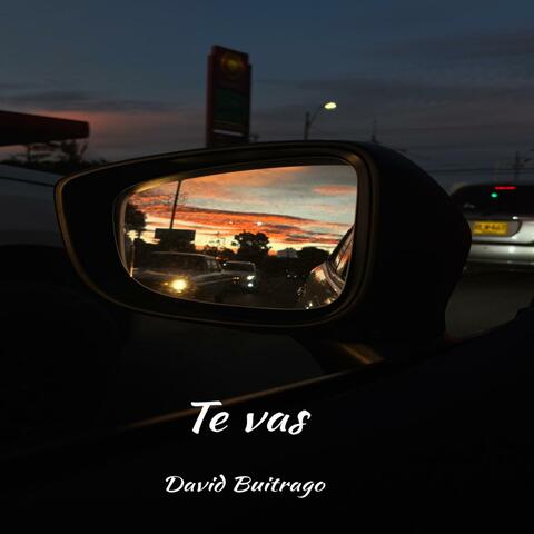 Te vas album art