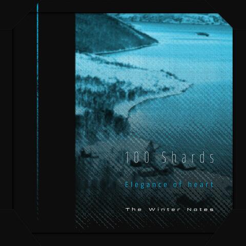 The Winter Notes: Guide your Ambitions / The 100 Shards album art