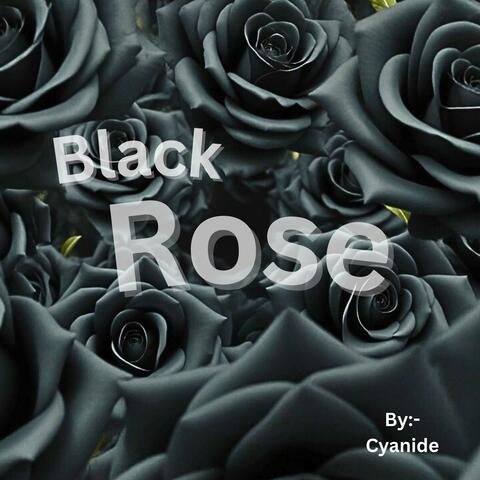 Black Rose album art