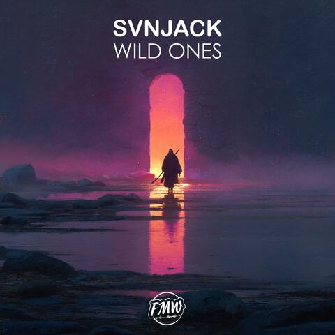 Wild Ones album art