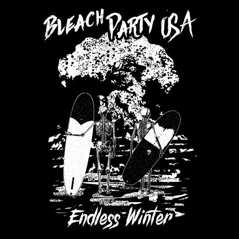 Endless Winter album art