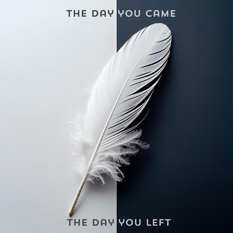 The Day You Came/The Day You Left album art
