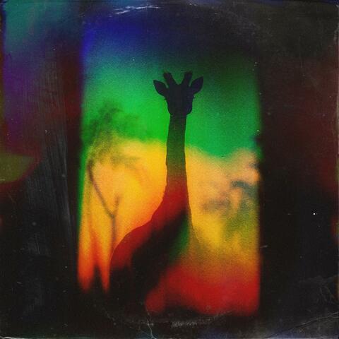 jola album art