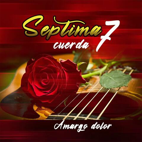 amargo dolor album art