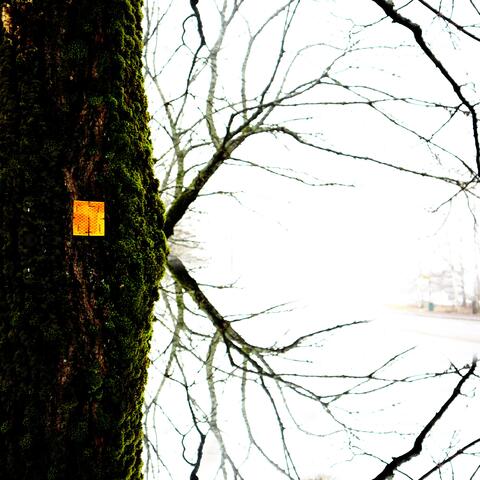 Silent and Shallow album art