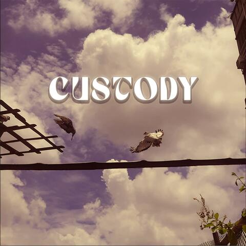 Custody album art