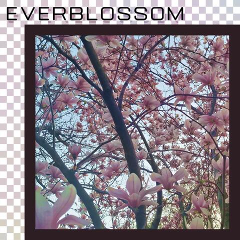 Everblossom album art