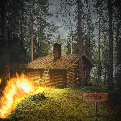 Forest on Fire album art