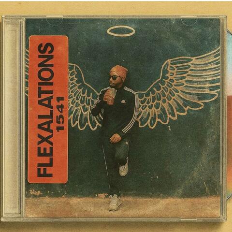 FLEXALATIONS 15:41 (The Summary) album art