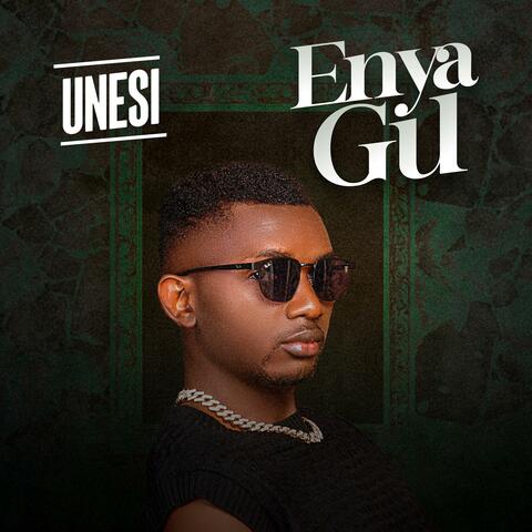 Enya Gu album art