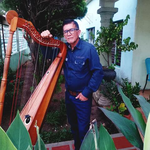 Apersogado Por Un Guayabo album art