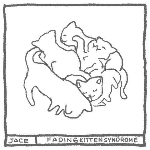 fading kitten syndrome album art