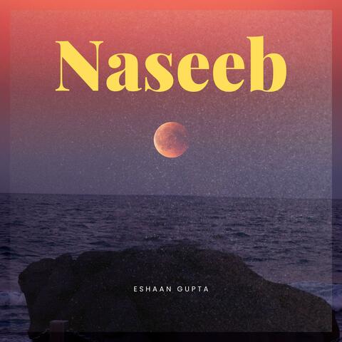 Naseeb album art