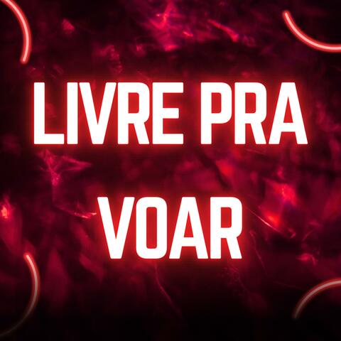 Livre pra voar album art