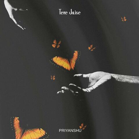 Tere Jaise album art