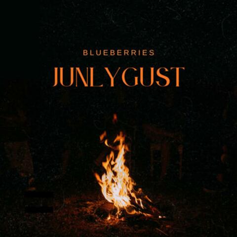 Into The Saunas (feat. Lil Dini) album art