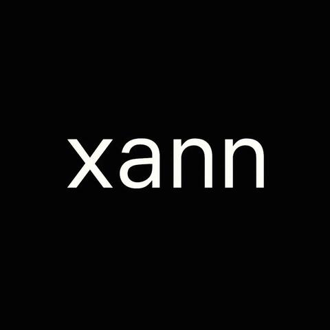 xann album art