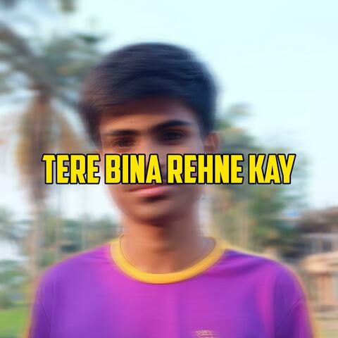 Tere Bina Rehna Kya album art