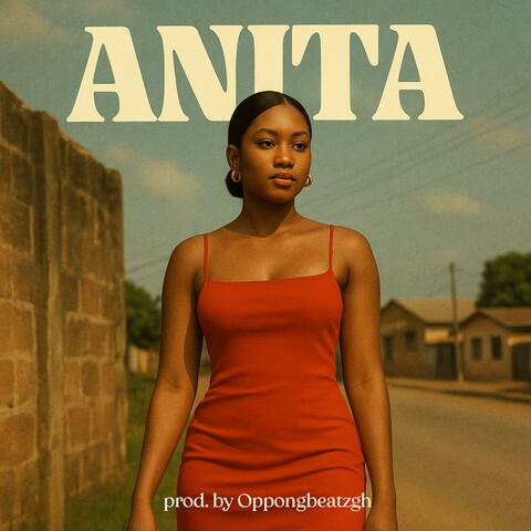 Anita album art