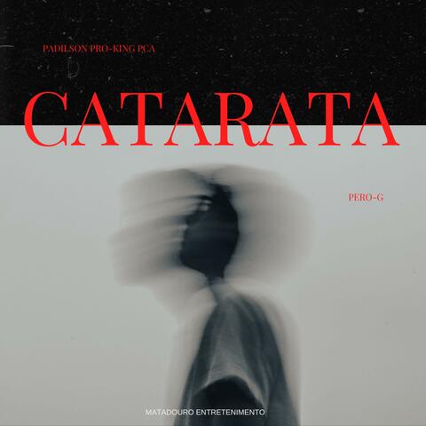 Catarata (feat. Pero G) album art