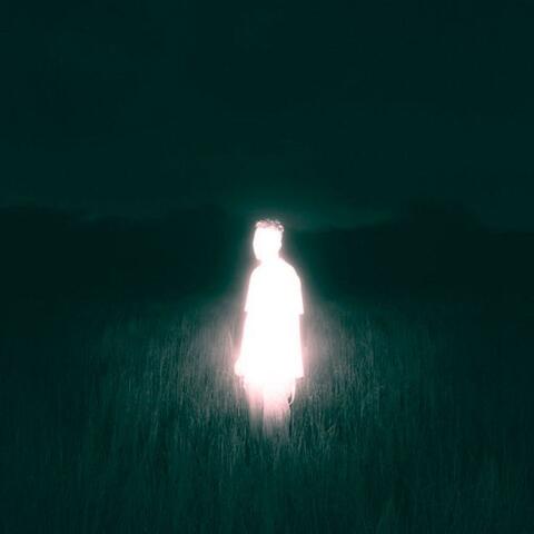 NAAR 2 album art