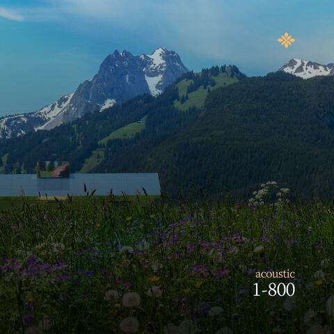 1-800 album art