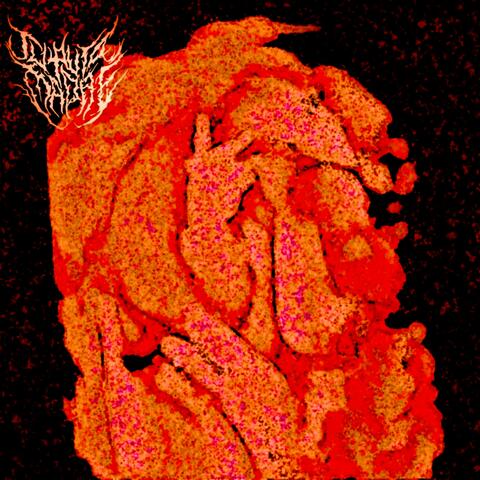 NACIDO PARA PUTEAR album art